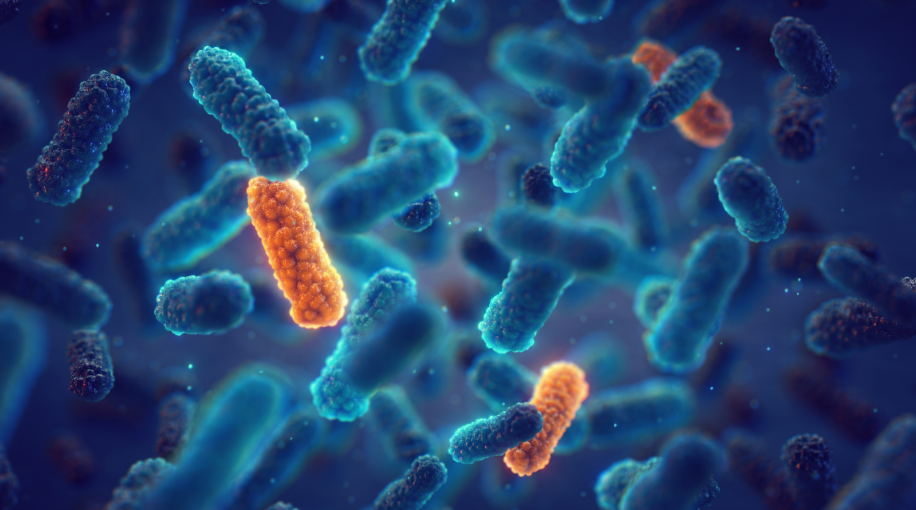 Illustration of bacteria